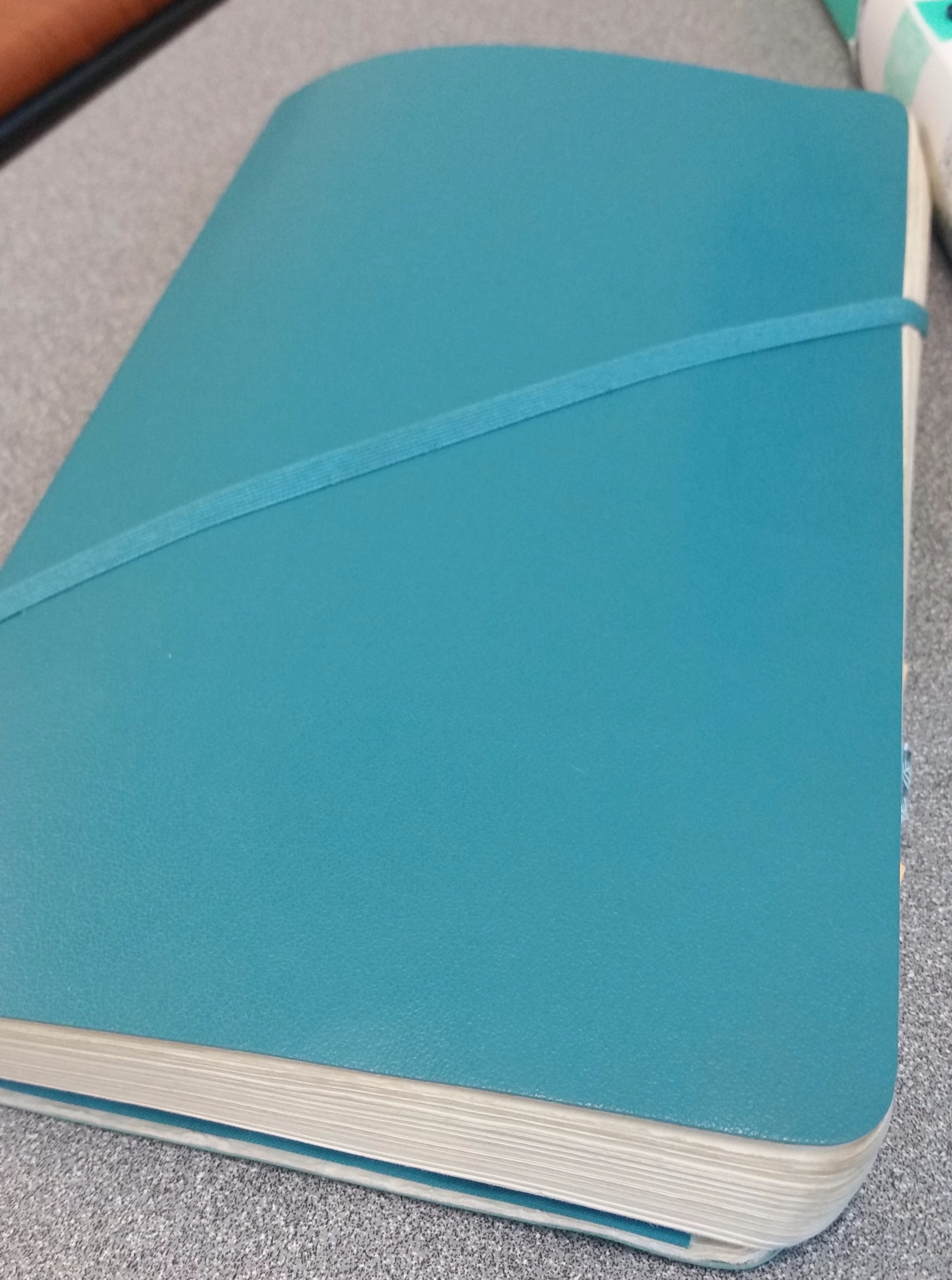 Moleskine Soft Dot Grid Notebook Review
